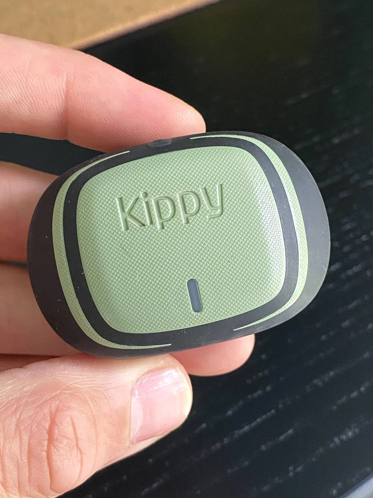 Gps-tracker voor honden in een hand